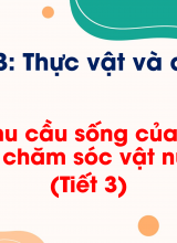 Chủ đề 3 - Bài 14 Nhu cầu sống của động vật và chăm sóc vật nuôi (Tiết 3)